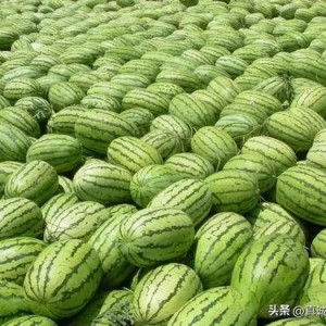 热门大瓜有哪些,揭秘明星幕后故事